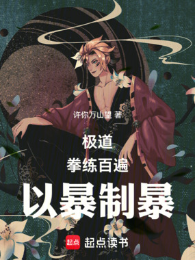 极道：拳练百遍，以暴制暴在线阅读