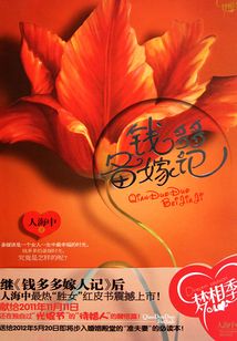 钱多多备嫁记