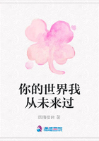 你的世界我從未來過在線閱讀