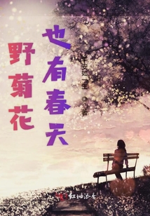 野菊花也有春天