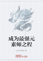 成为最强元素师之程在线阅读