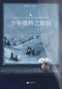少年維特之煩惱