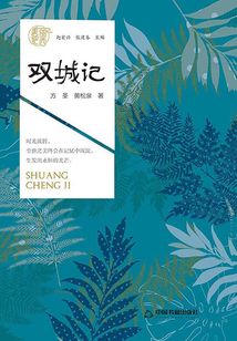 雙城記（美麗肥西）