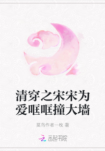 清穿之宋宋為愛哐哐撞大墻