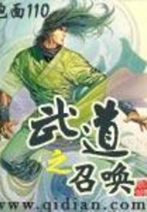 武道之召唤 cover