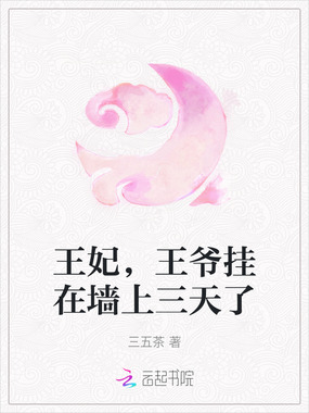王妃，王爷挂在墙上三天了在线阅读