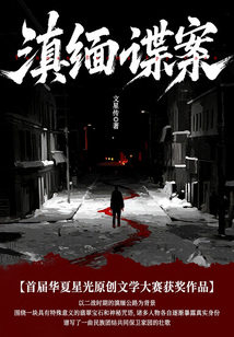 滇缅谍案