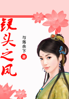 钗凤头简谱_凤头钗图片