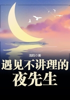 遇见不讲理的夜先生在线阅读