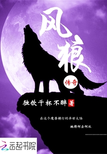風(fēng)狼傳奇