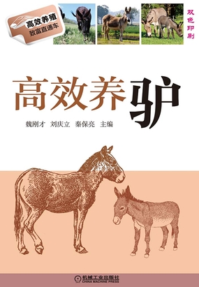 高效养驴在线阅读