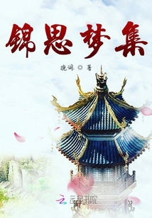 锦思梦集