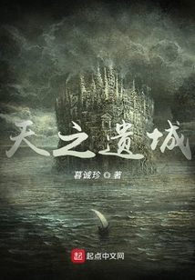 天之遺城