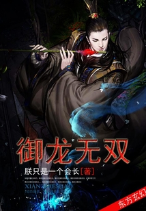 御龙无双 cover