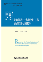 河南省十大民生工程政策评估报告在线阅读