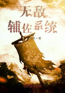 無敵輔佐系統