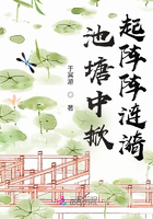 池塘中掀起陣陣漣漪在線閱讀