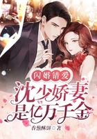 闪婚错爱：沈少娇妻是亿万千金在线阅读