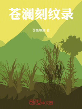 苍澜刻纹录在线阅读