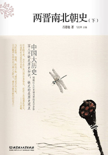中國(guó)大歷史：兩晉南北朝史（下）