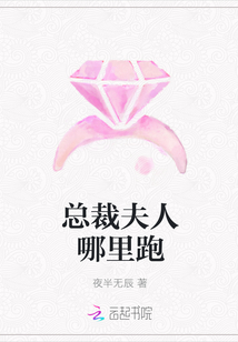 總裁夫人哪里跑