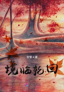 境临轮回