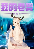 我的老婆很能打在線閱讀