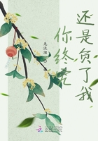 你终究还是负了我在线阅读