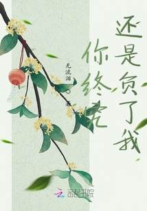 你終究還是負了我