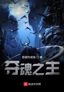 夺魂之主 cover