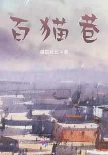 百貓巷
