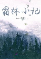 霜林小记在线阅读