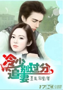 冷少追妻別過分