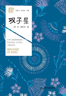 双子星（美丽肥西）
