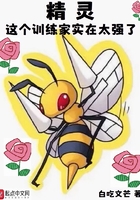 精灵:这个训练家实在太强了