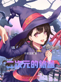二次元的旅途
