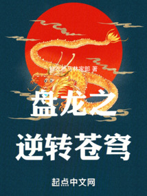 盤龍之逆轉(zhuǎn)蒼穹