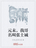 元末,我哥名叫张士诚在线阅读