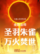 全职法师:圣羽朱雀,万火焚世!在线阅读