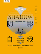 荣格:阴影与自我在线阅读