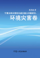 宁夏自然灾害防灾减灾重大问题研究：环境灾害卷在线阅读