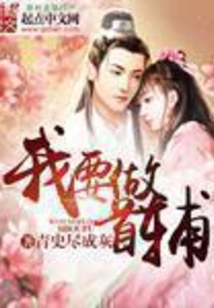 我要做首辅