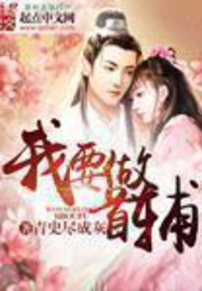 我要做首辅在线阅读