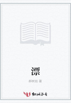 漂 封面