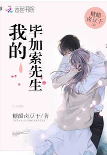 我的畢加索先生