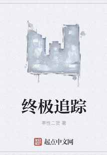 终极追踪