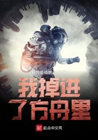我掉進了方舟里在線閱讀