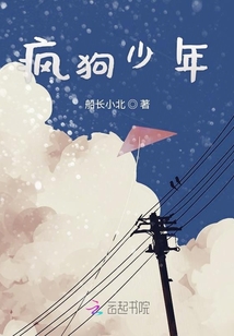 瘋狗少年