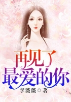 再见了最爱的你在线阅读