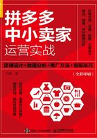 拼多多中小卖家运营实战：店铺设计+数据分析+推广方法+客服技巧